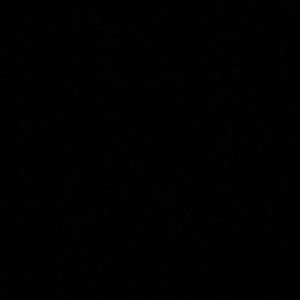 Meet your Posher, Dj